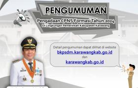 Pengadaan CPNS Formasi Tahun 2024