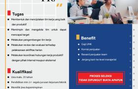 Lowongan Pekerjaan NSS